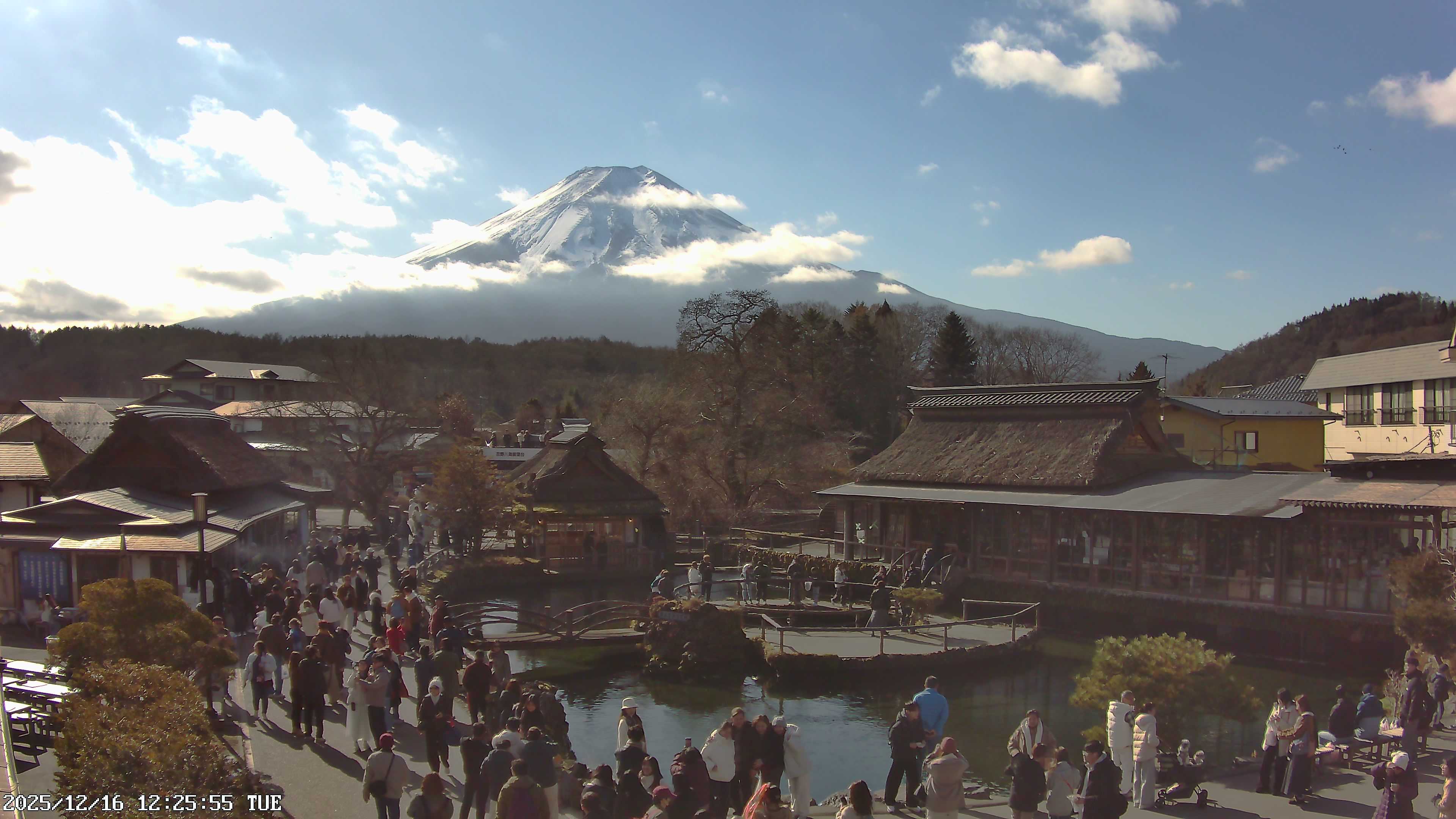 富士山ライブカメラ-忍野八海