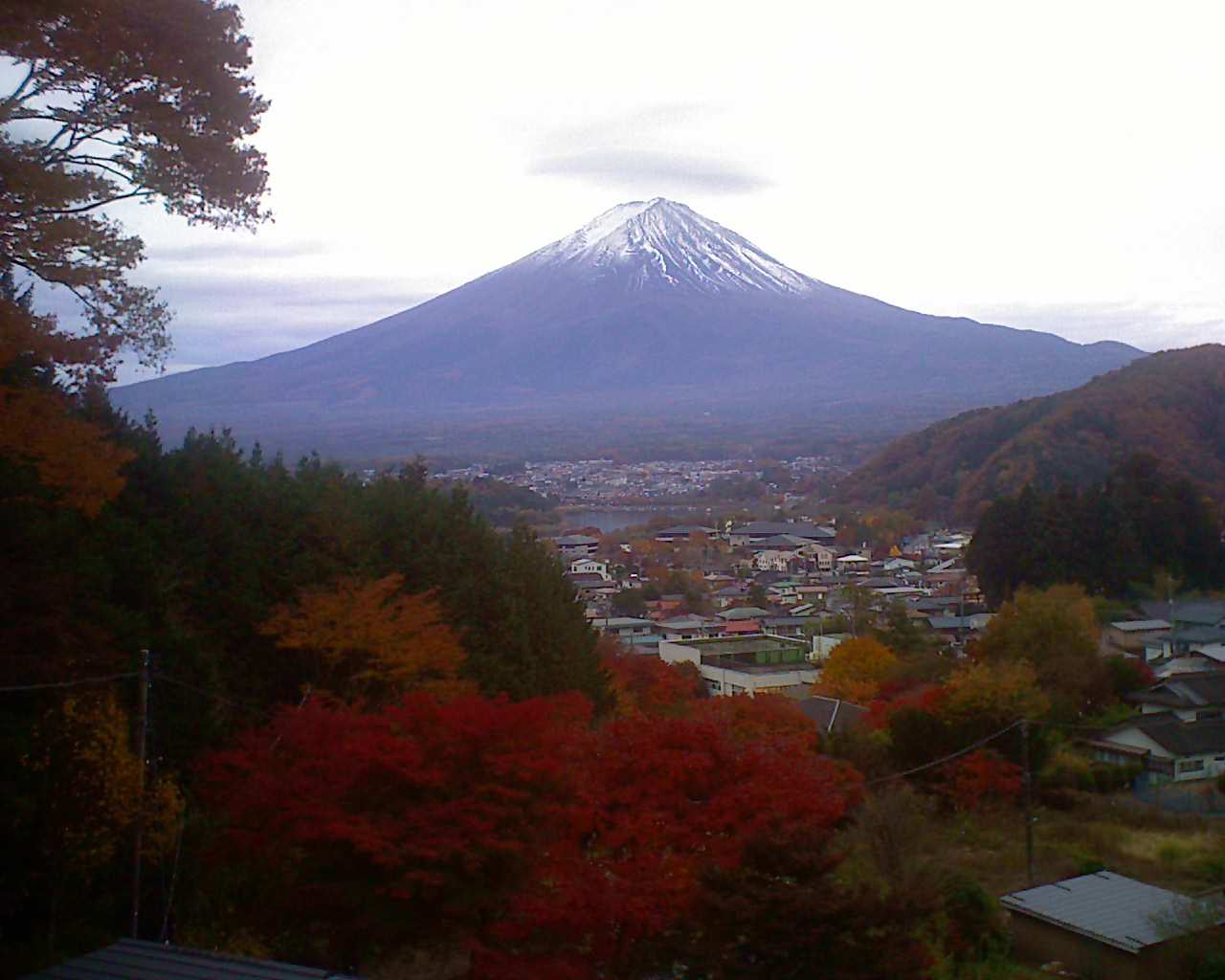 富士山ライブカメラ-河口湖大石高台
